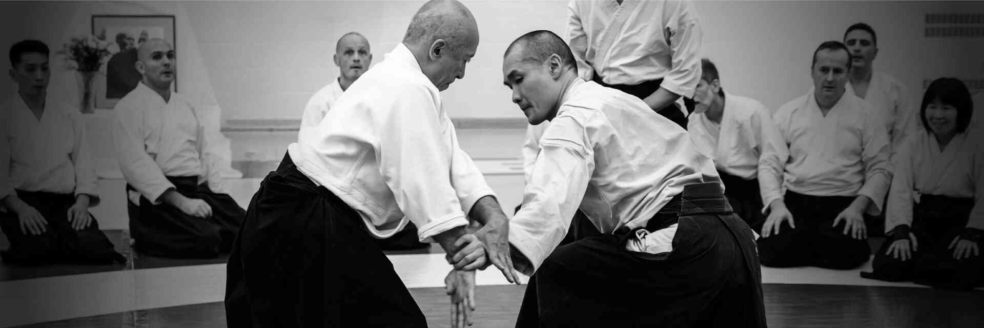 Aikido Federation - two-men-sparring-aikido-3-1