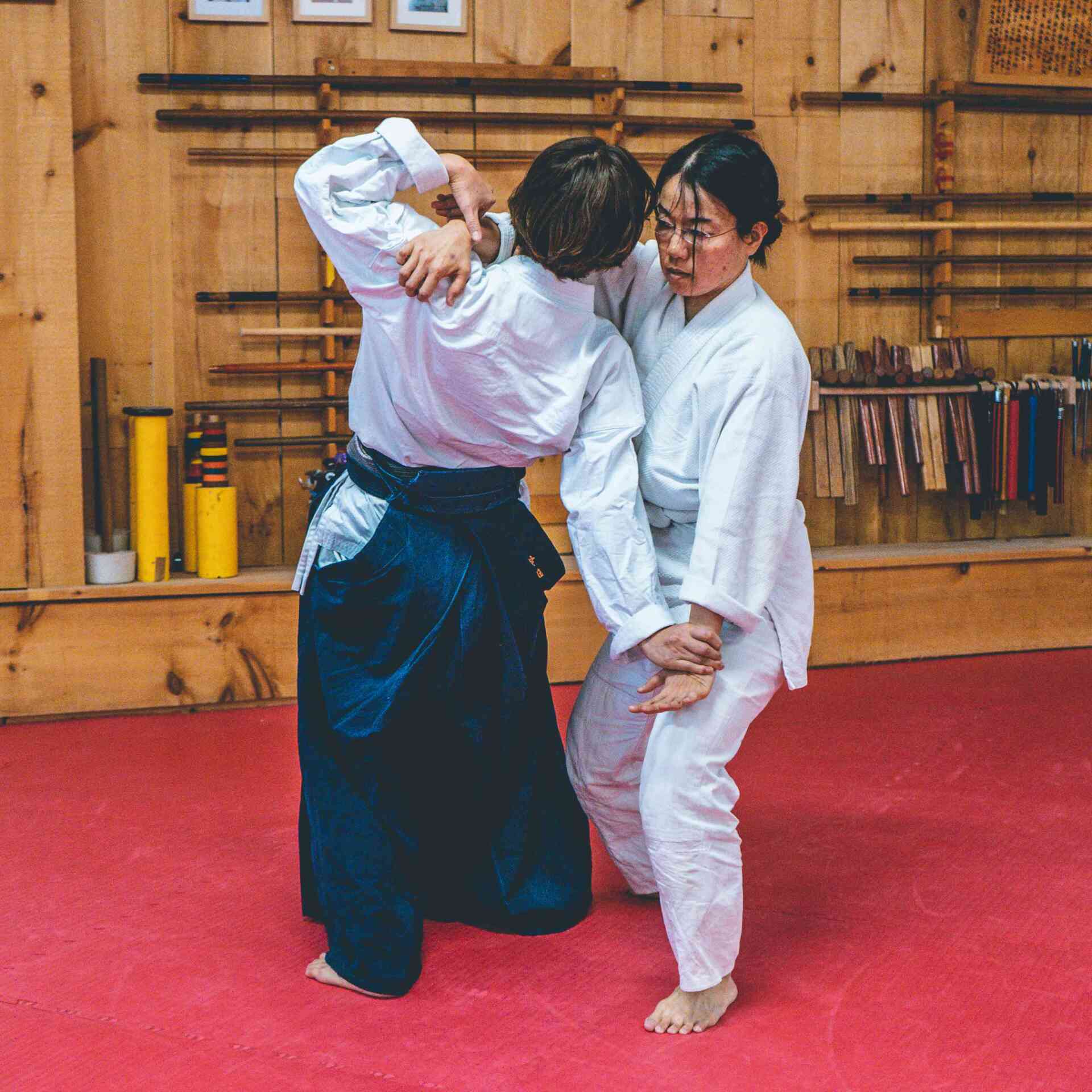 Aikido Federation - aikido-seishinkai-27-1