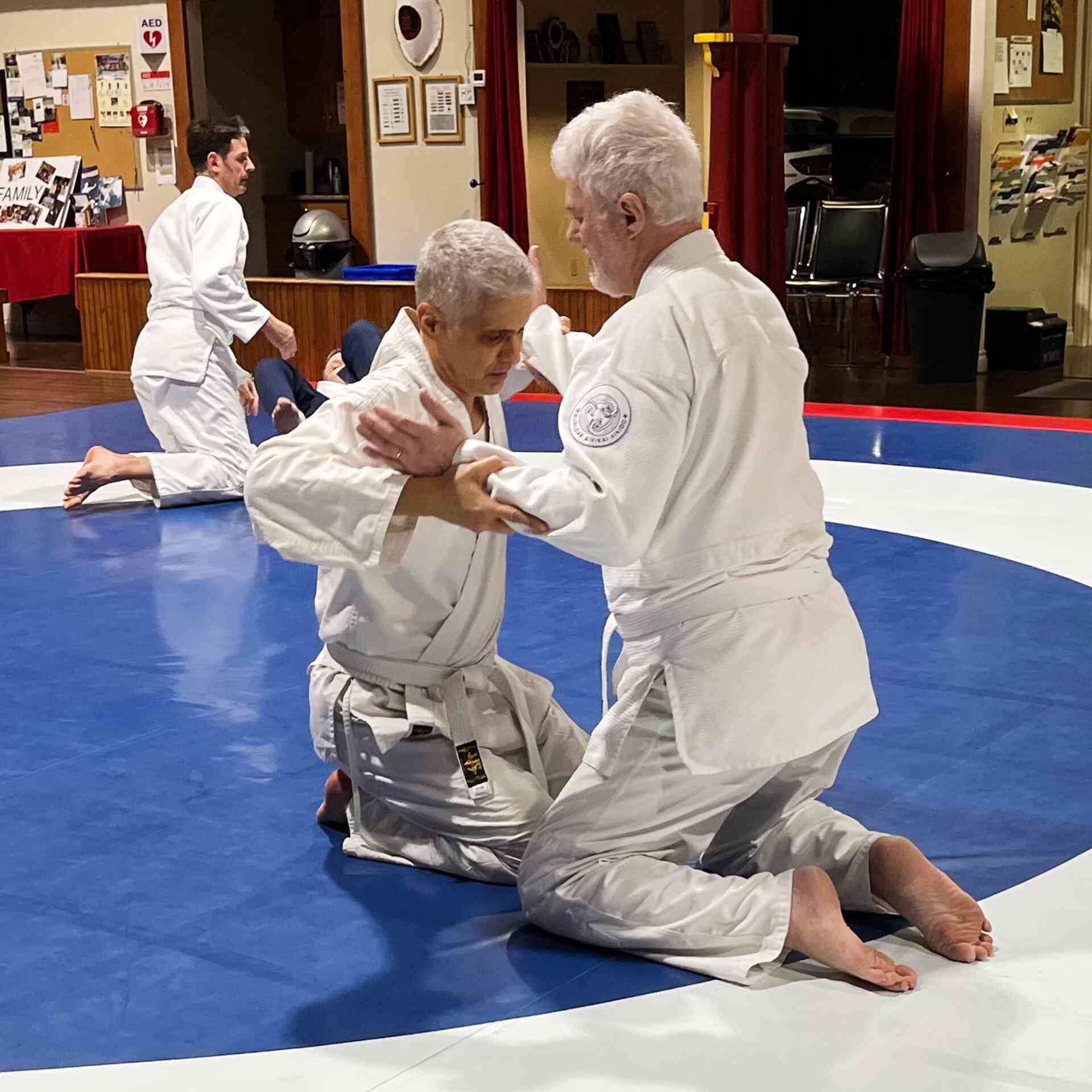 Aikido Federation - burloak-aikikai-4-1