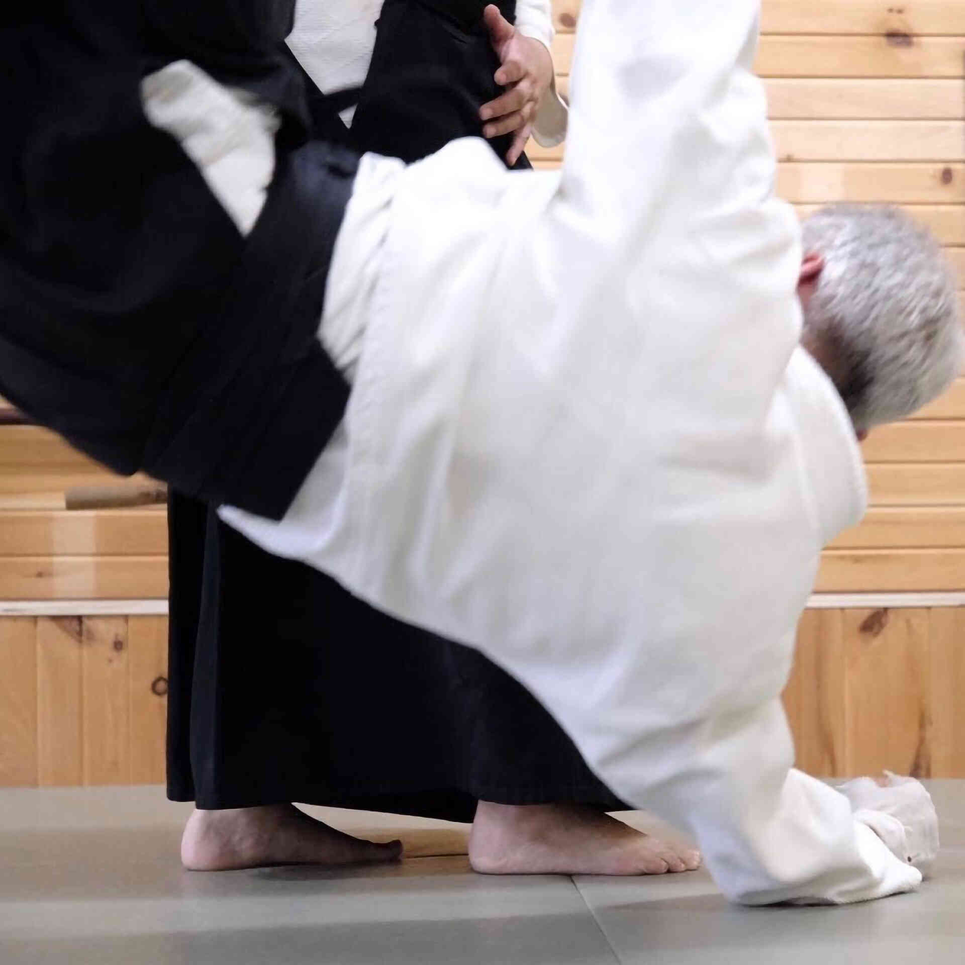 Aikido Federation - aikido-shugyo-dojo-3-1