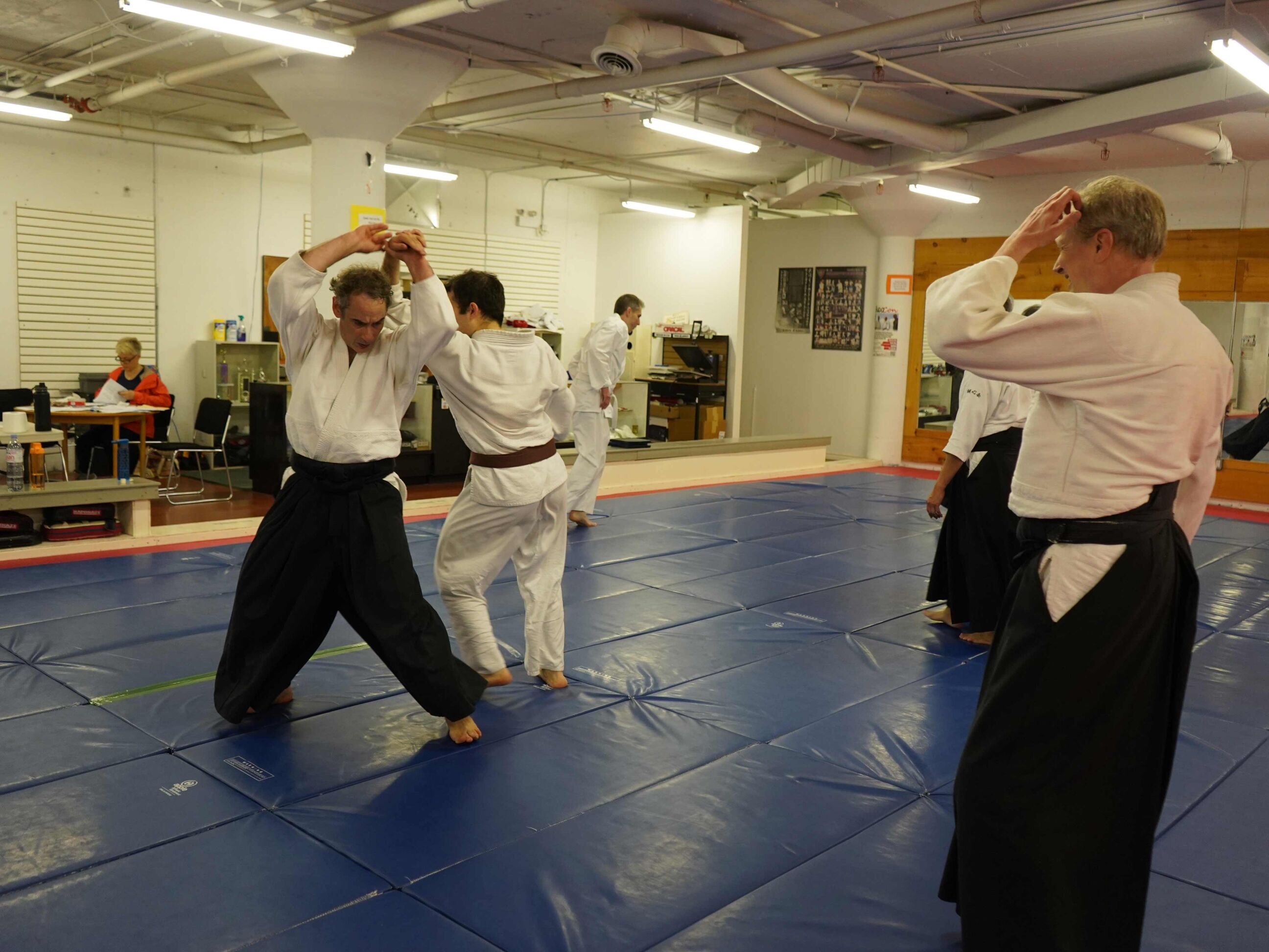 aikido-seishinkai-10