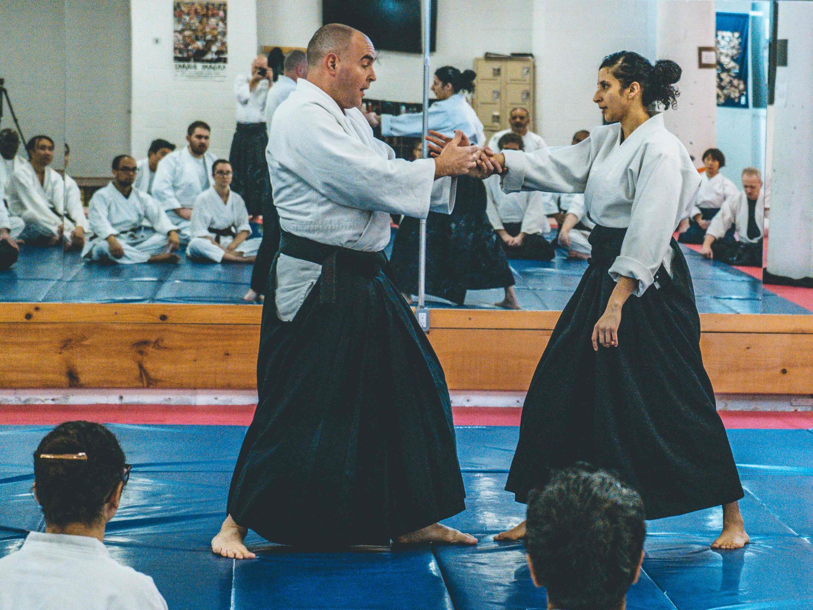 aikido-seishinkai-17