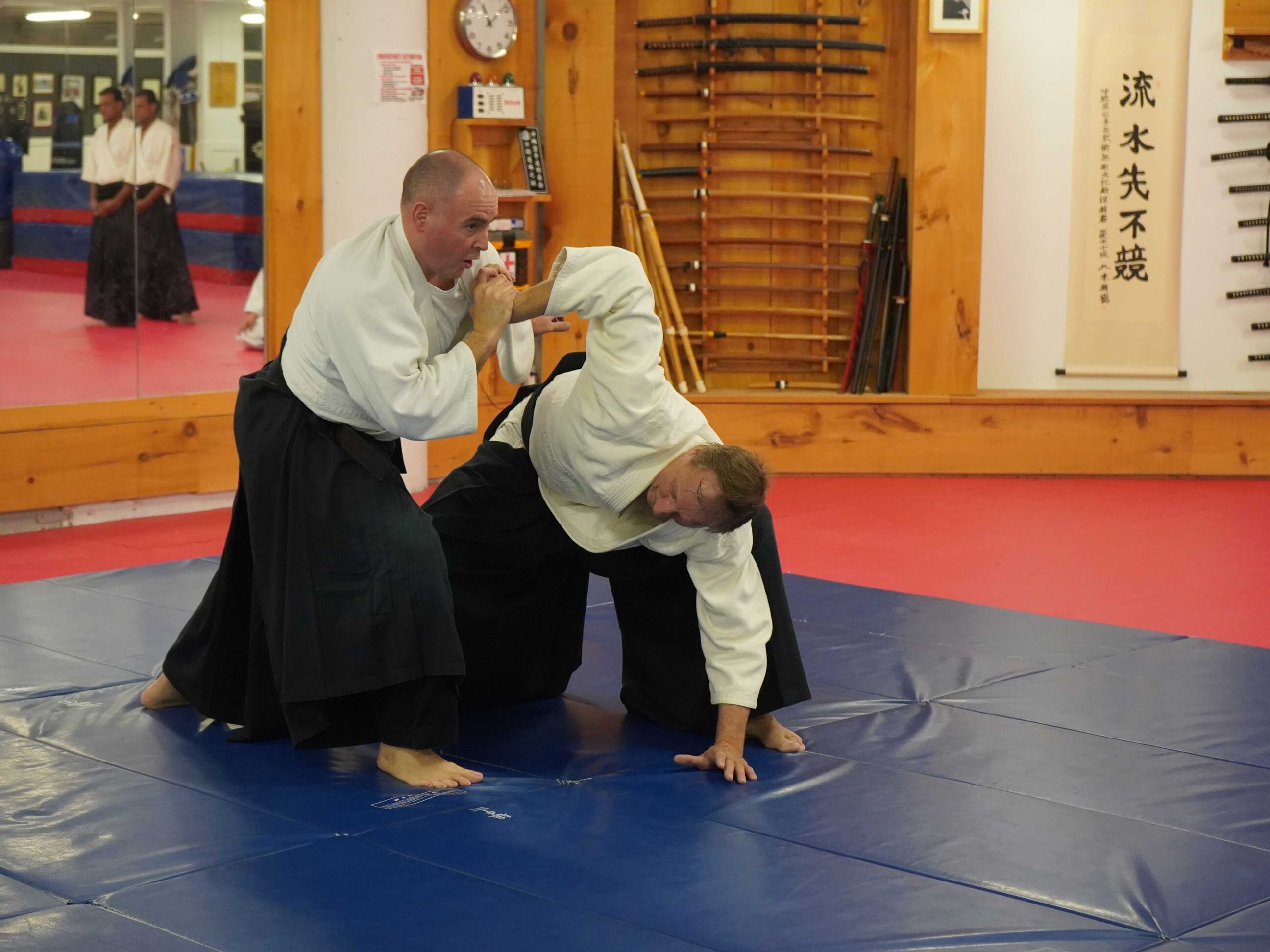 aikido-seishinkai-2