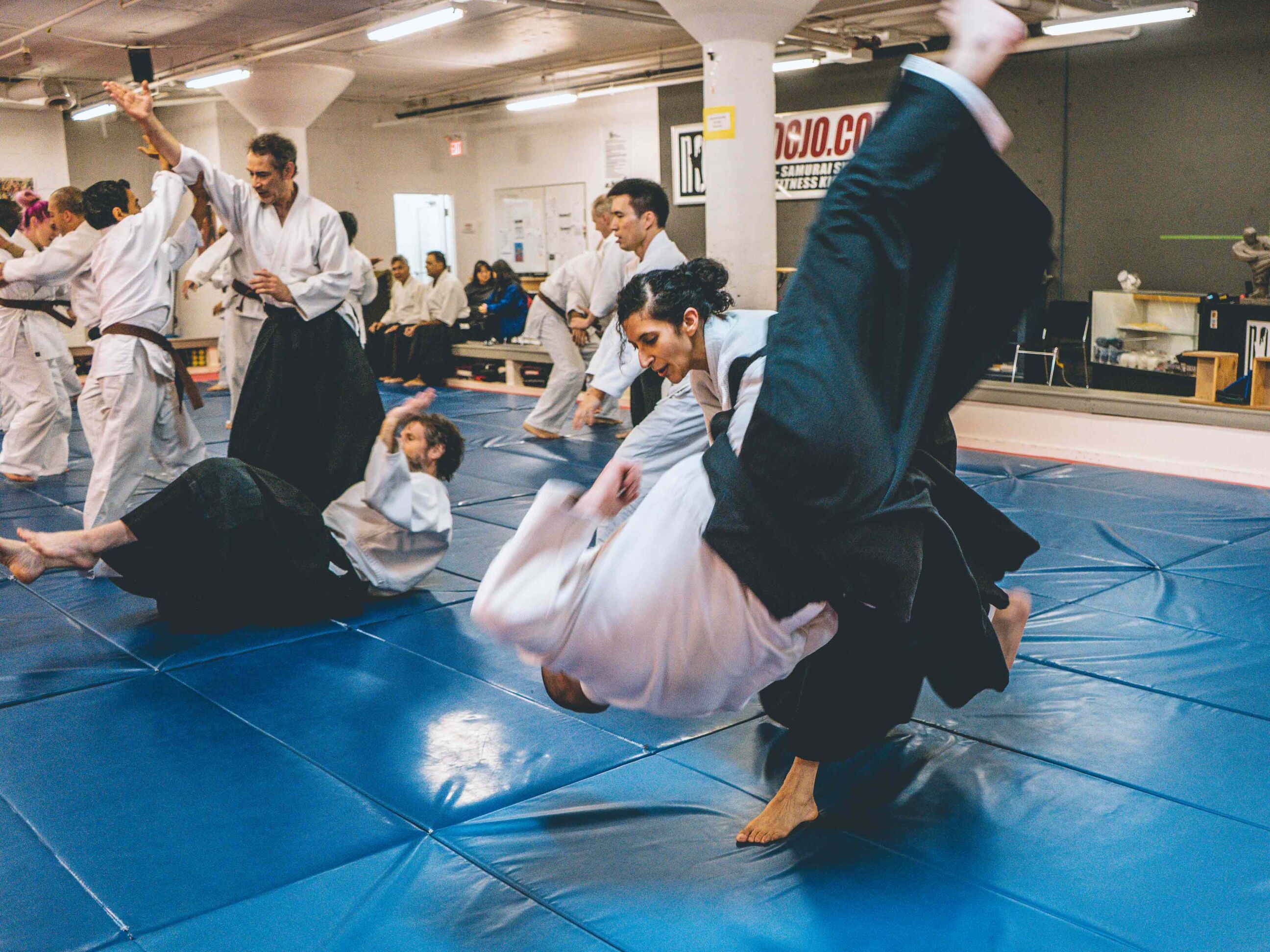 aikido-seishinkai-20