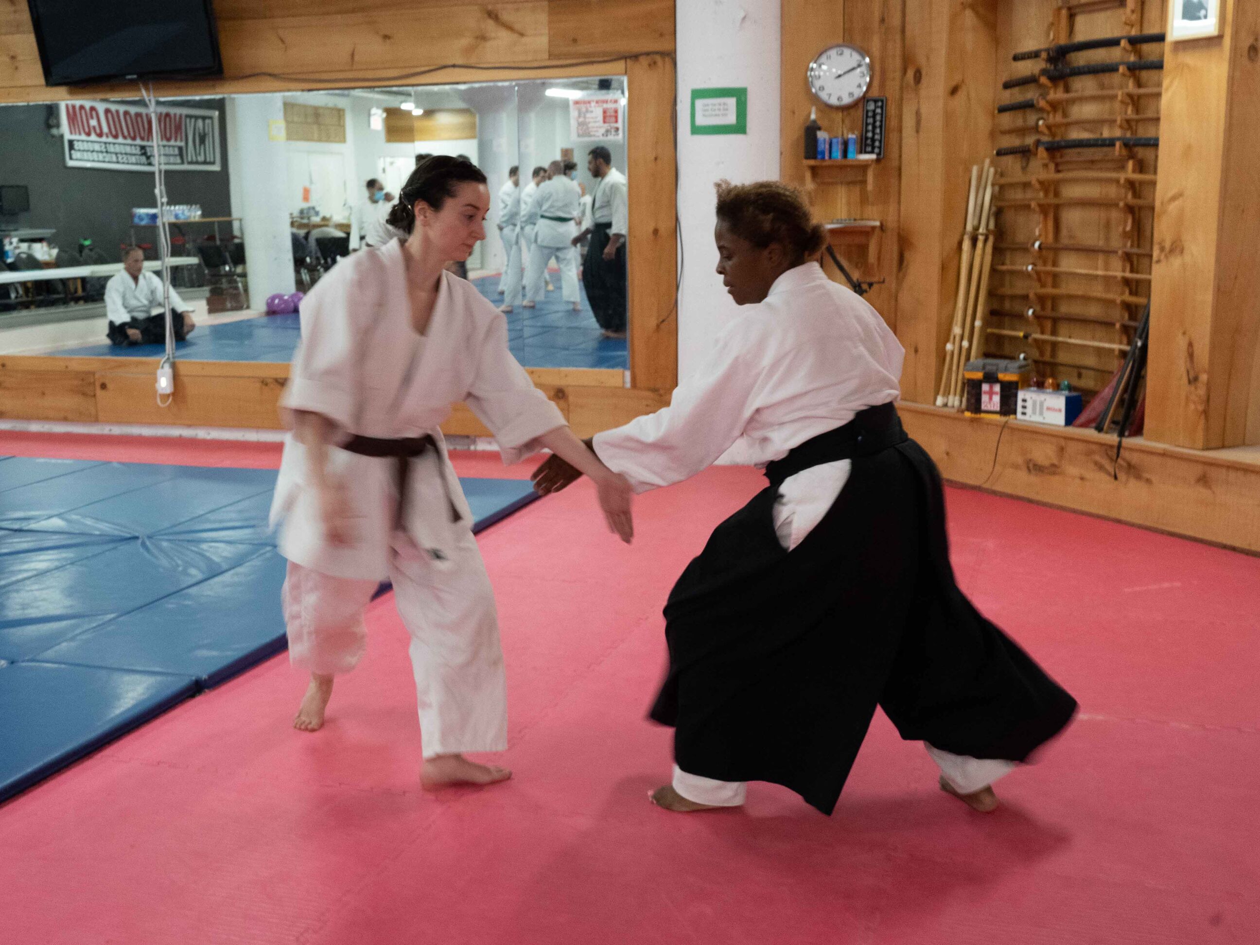 aikido-seishinkai-22