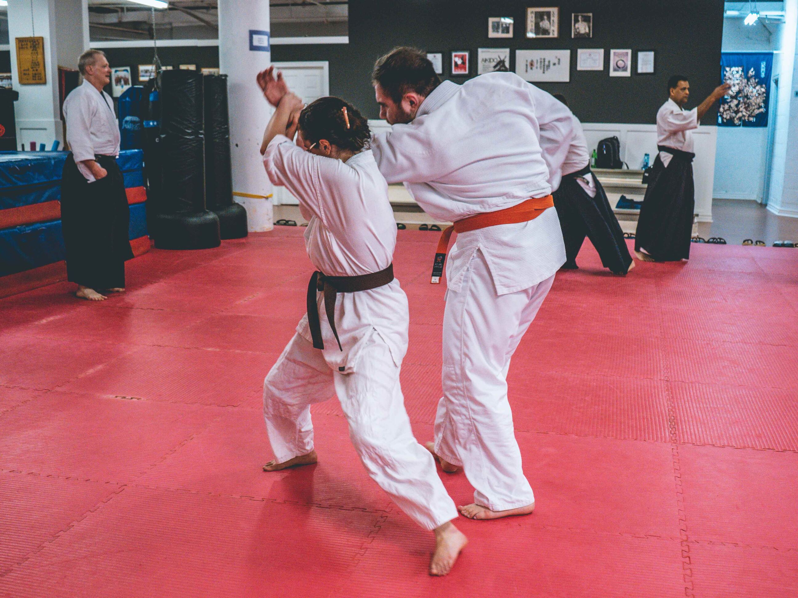 aikido-seishinkai-23