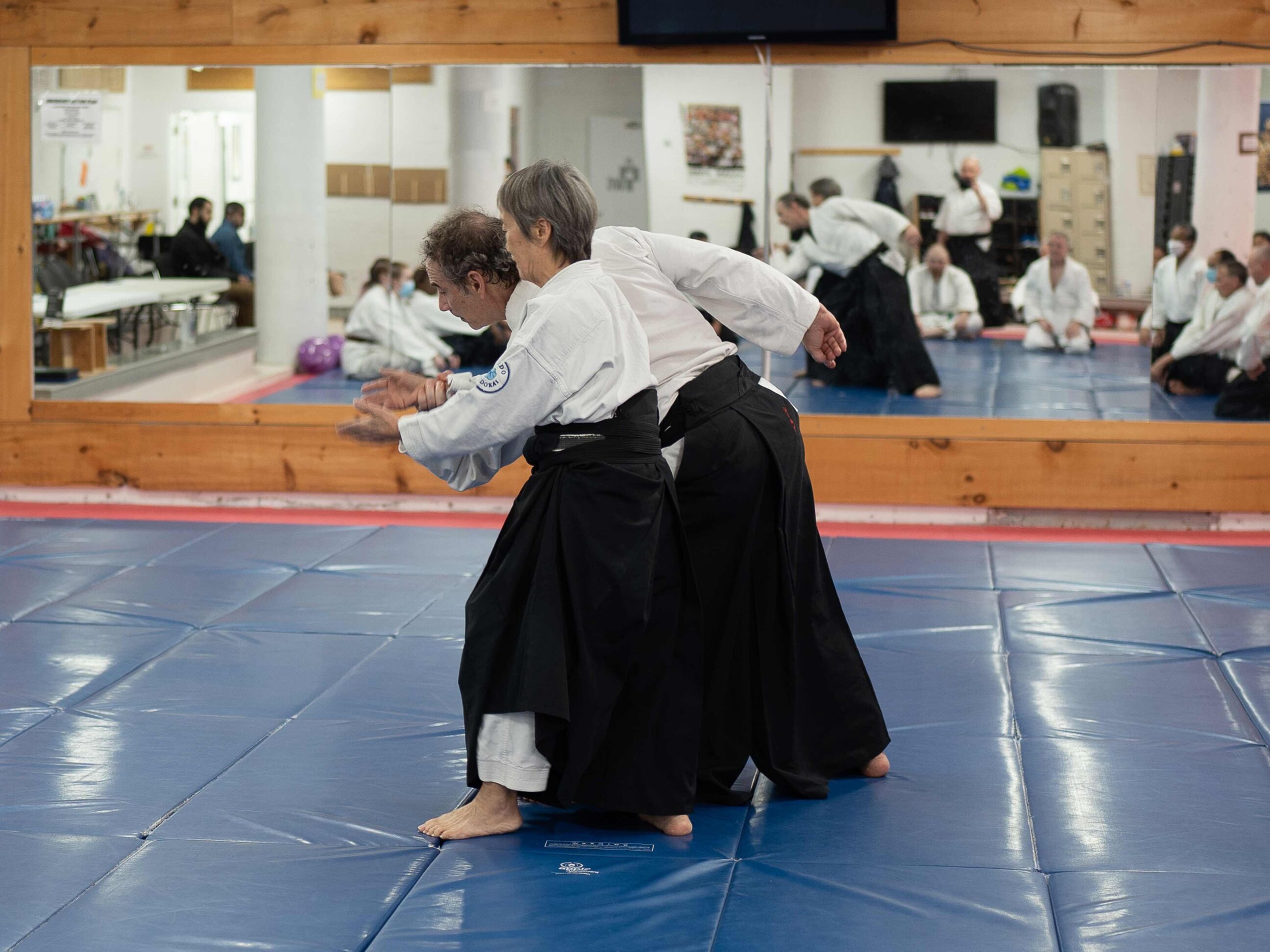 aikido-seishinkai-24