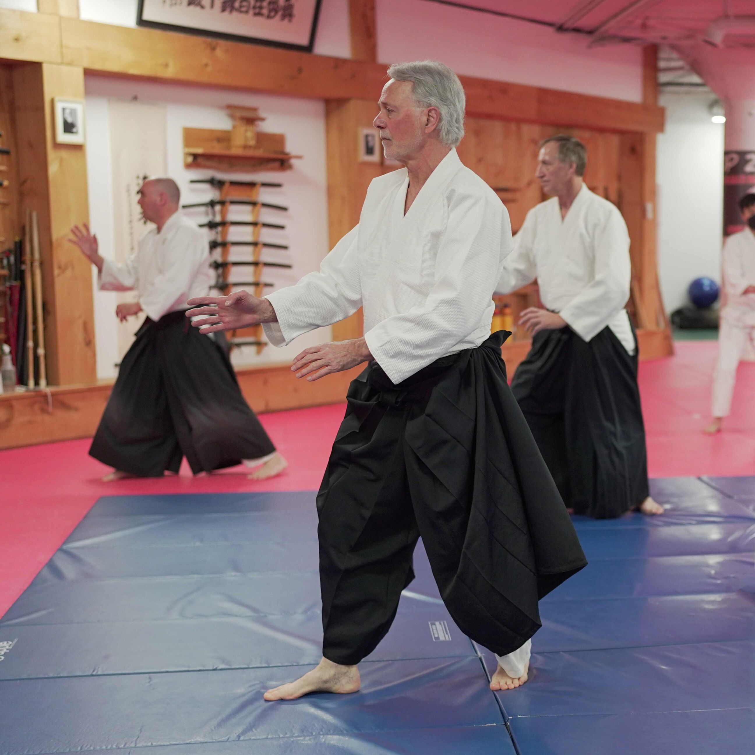 aikido-seishinkai-29