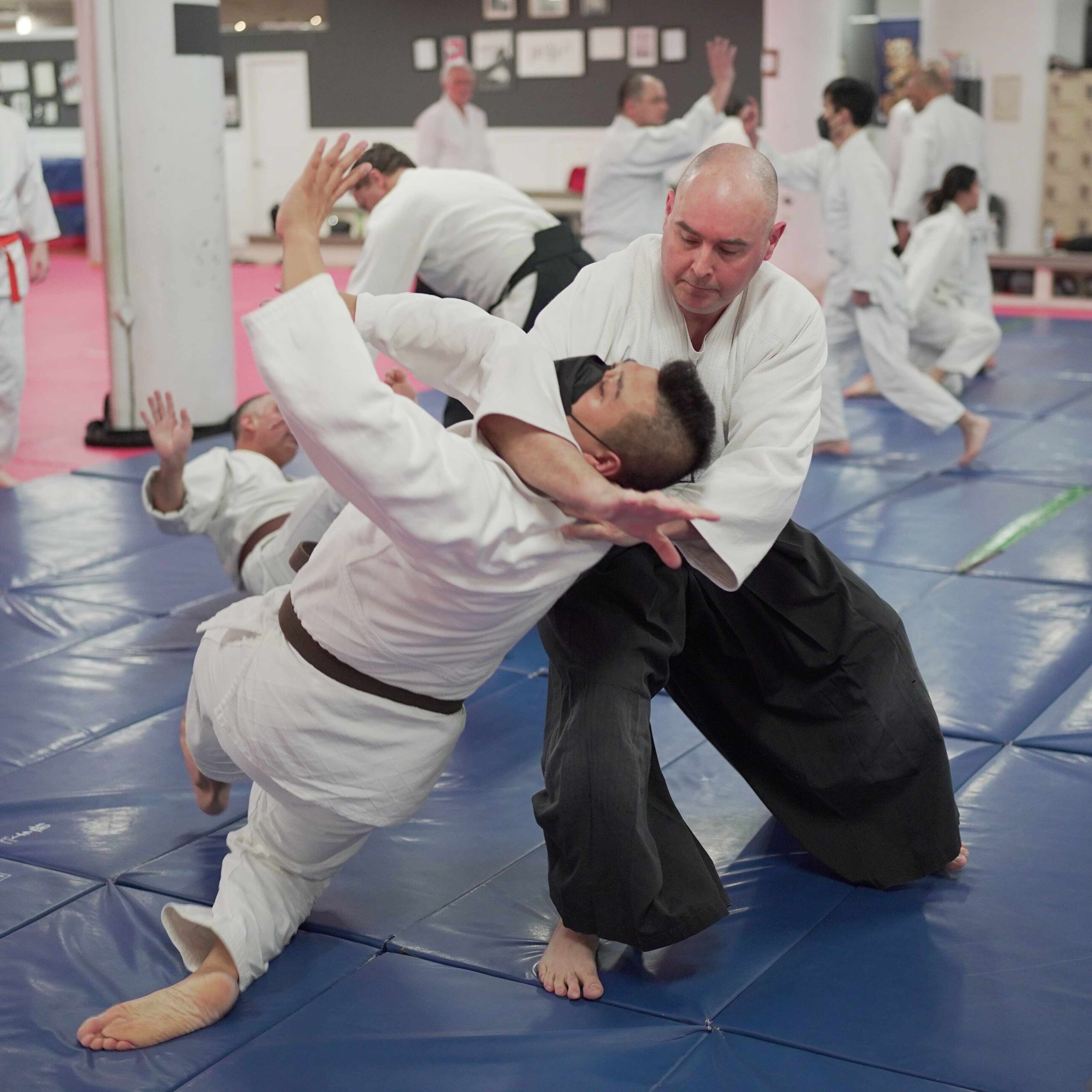 aikido-seishinkai-30