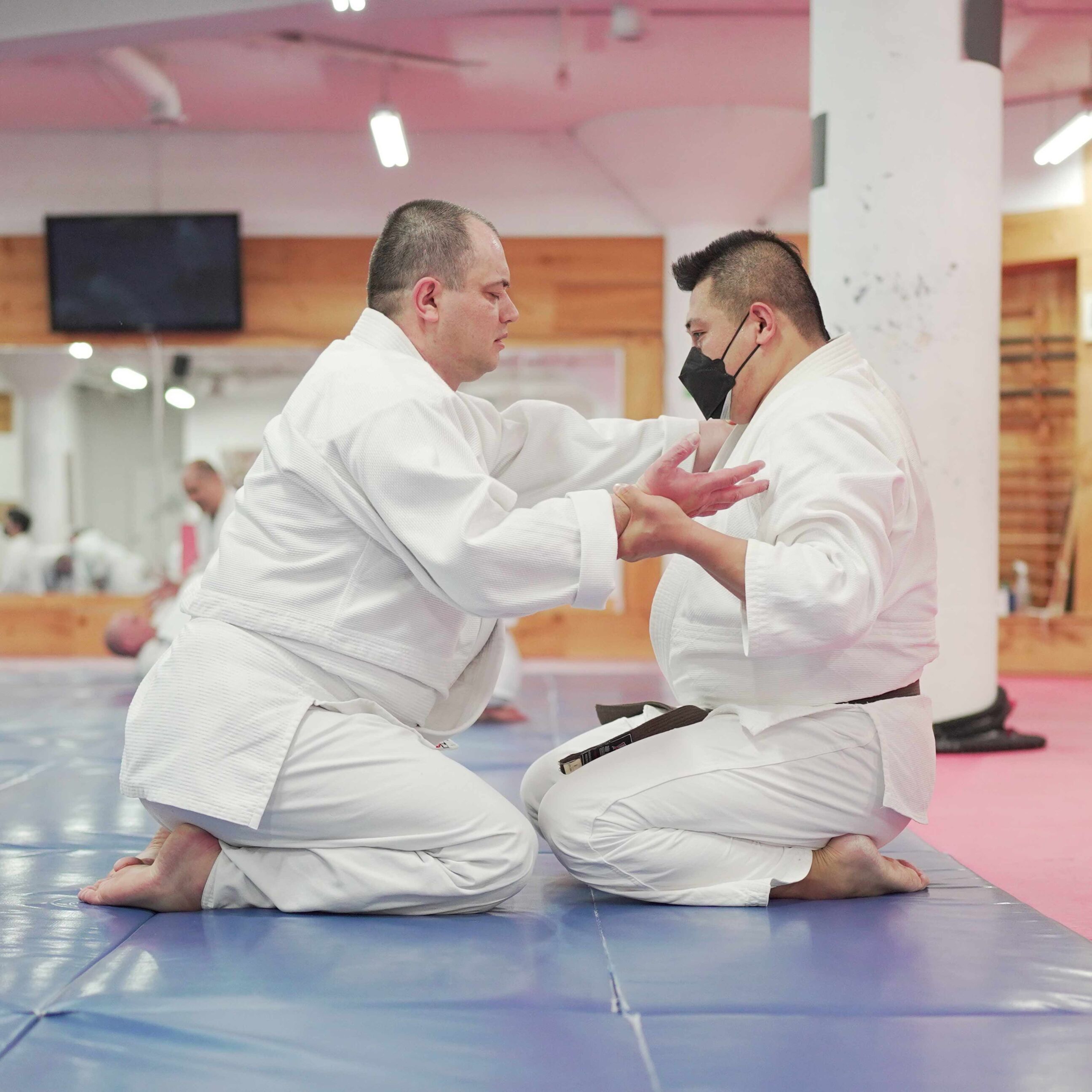 aikido-seishinkai-31