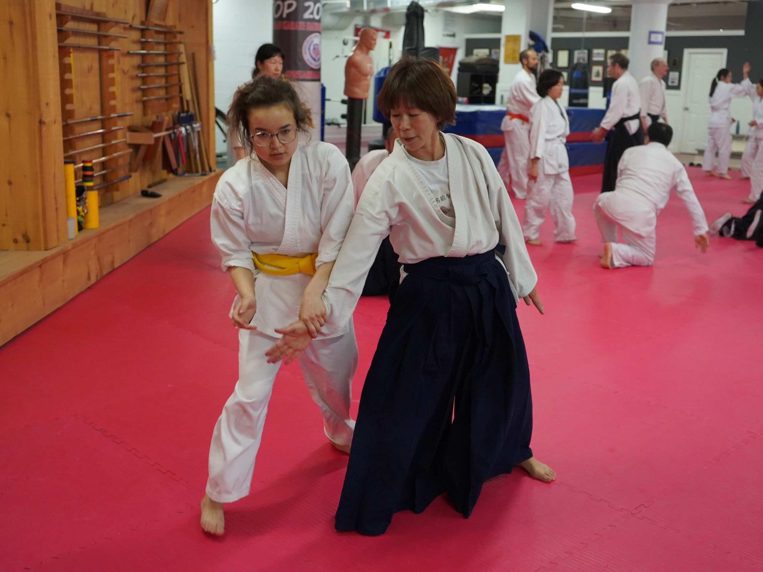 aikido-seishinkai-5