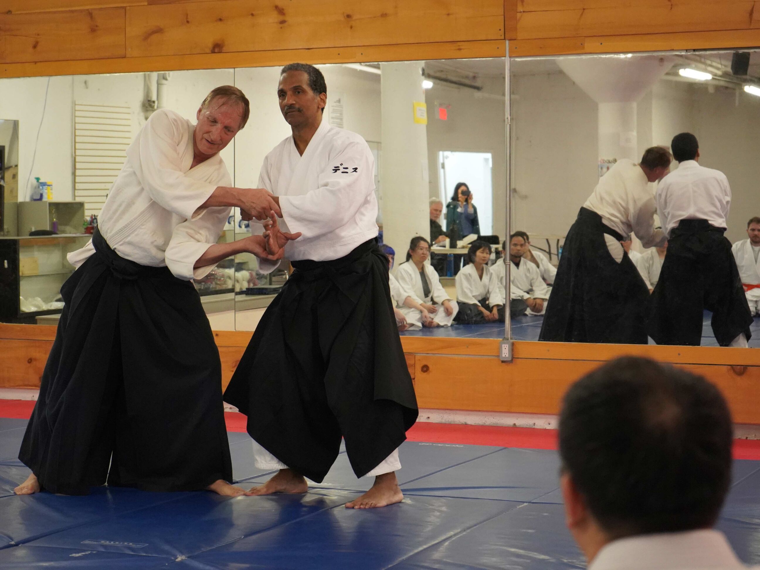 aikido-seishinkai-7