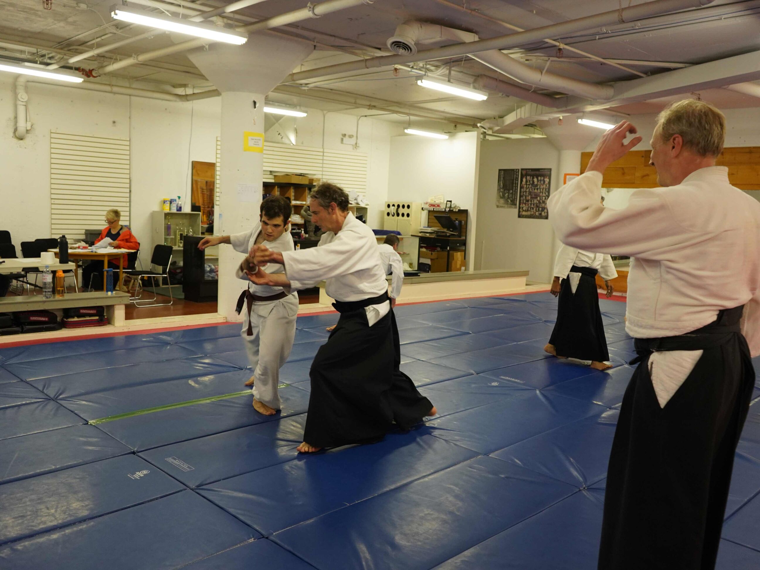 aikido-seishinkai-9