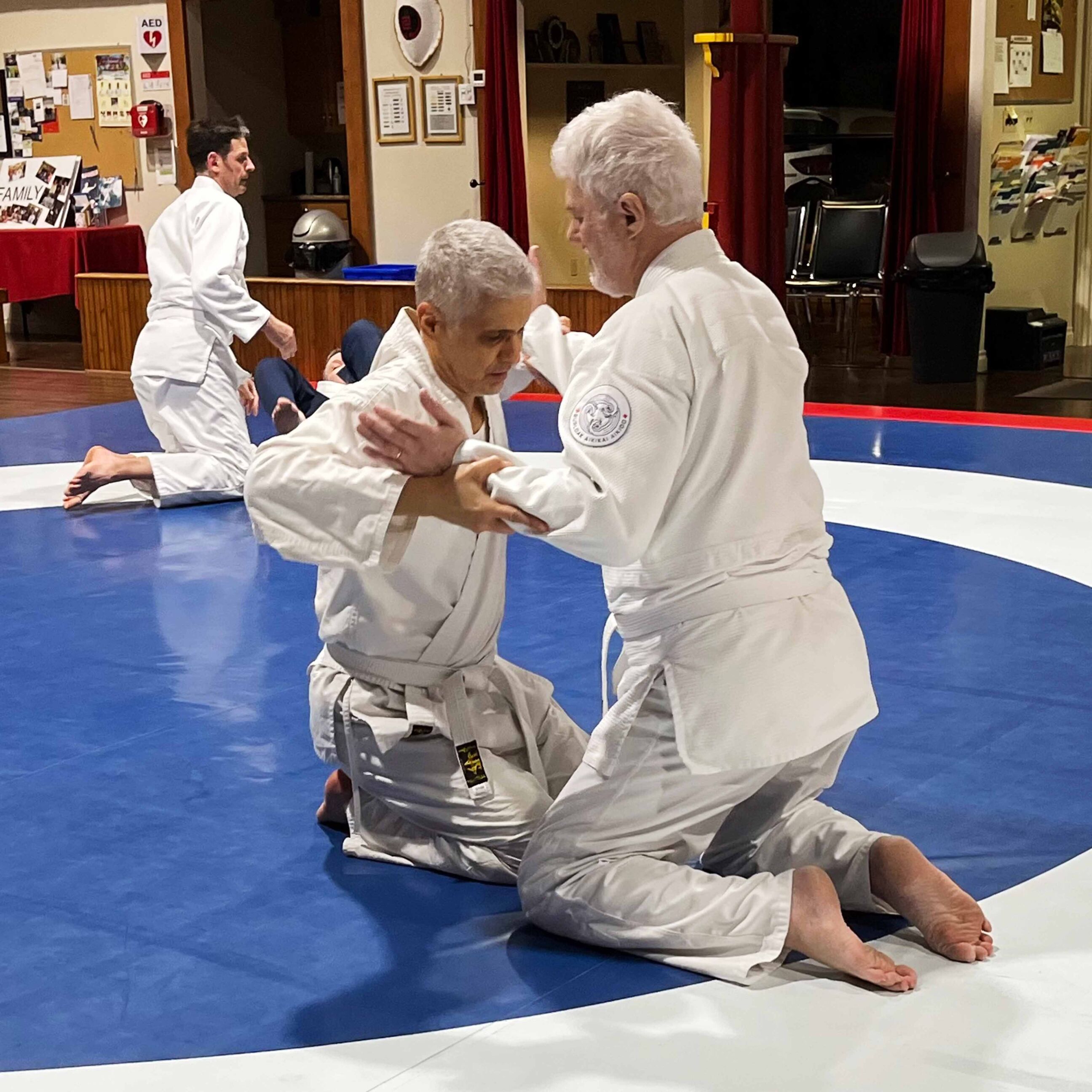 burloak-aikikai-4